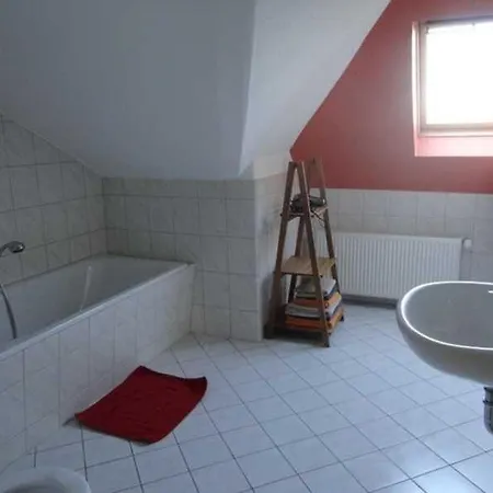 Im Stadtpark * Neubrandenburg